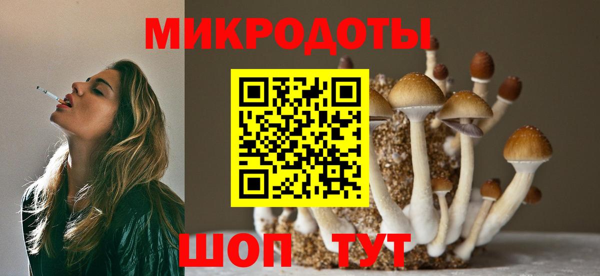 наркотики  Псилоцибиновые грибы мухоморы  Вход с VPN  Острогожск 